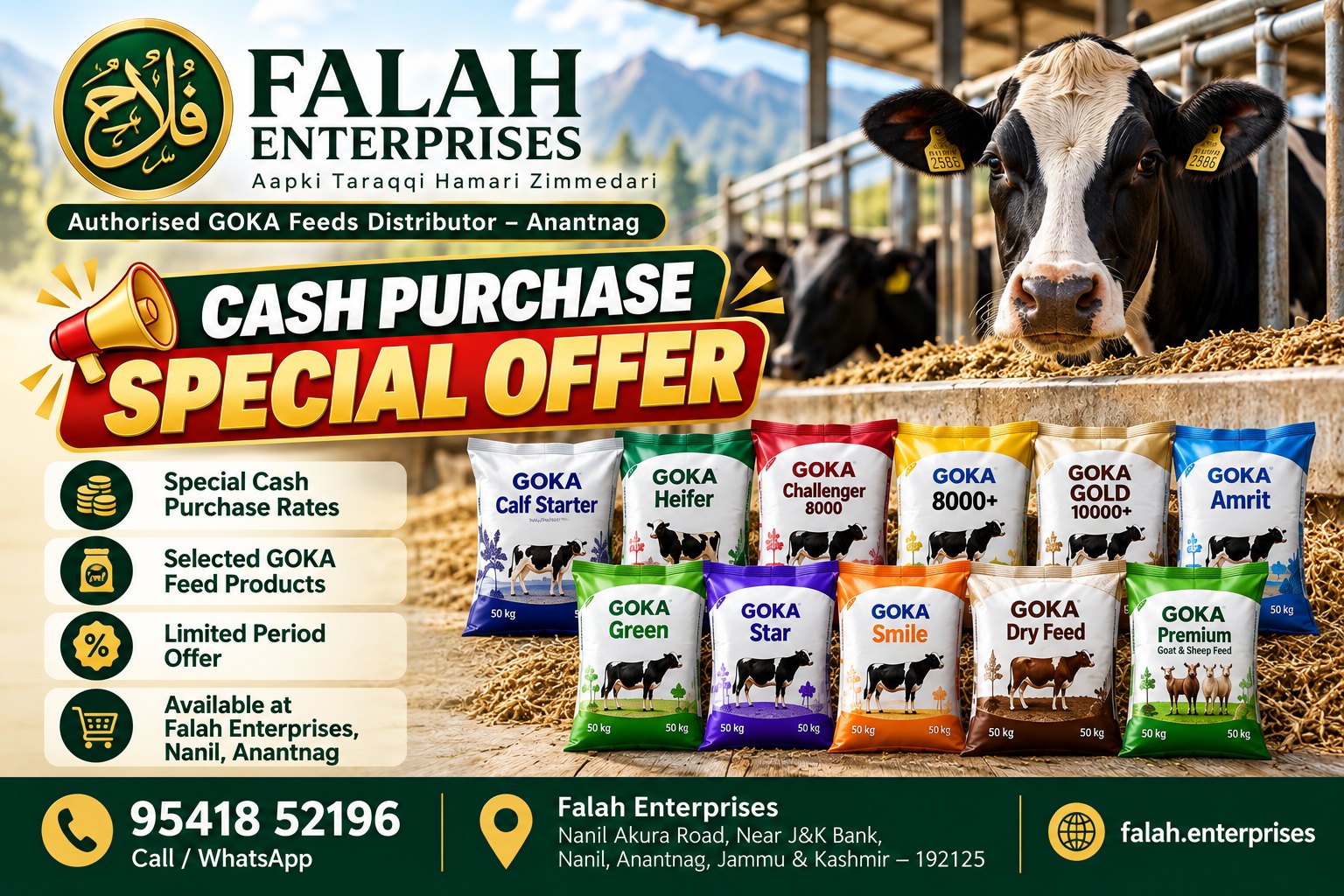 Cash Purchase Special Offer