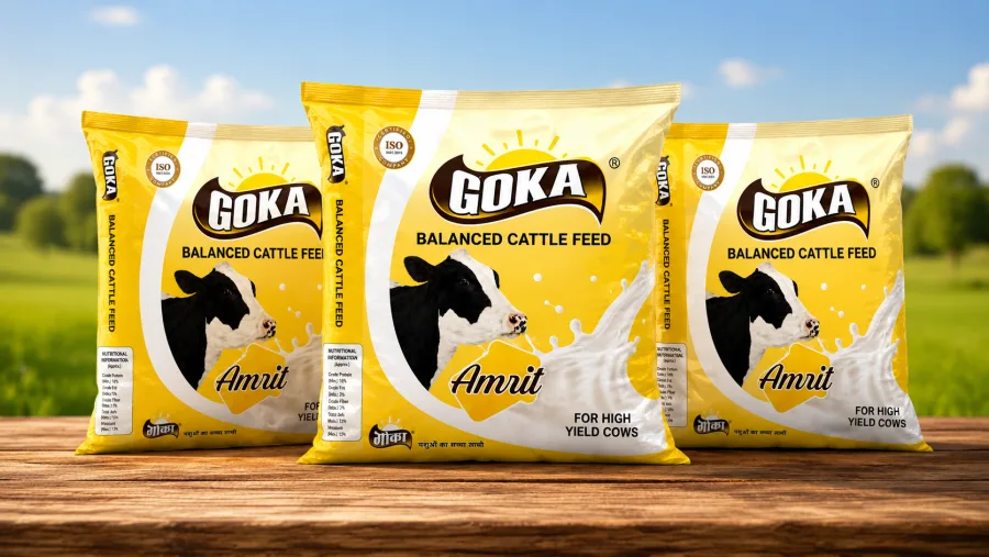 Goka Amrit - buy in Anantnag at Falah Enterprises