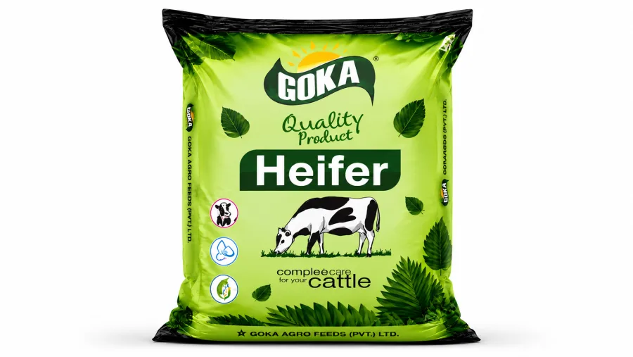 Goka Heifer - buy in Anantnag at Falah Enterprises